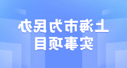 上海市为民办实事项目